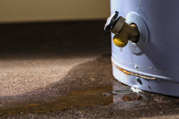 Best Flood damage cleanup  in Canyon Creek, WA