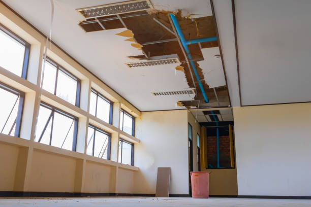 Best Flood restoration services  in Canyon Creek, WA