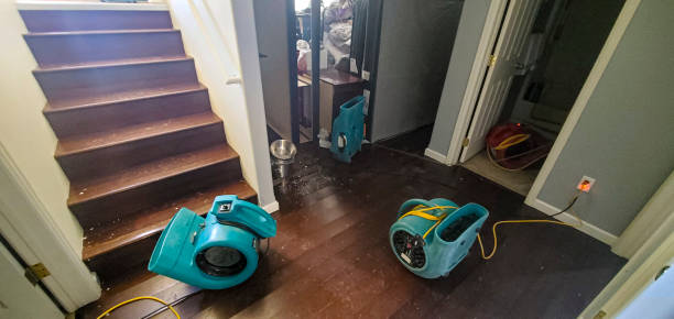Best Local water damage restoration  in Canyon Creek, WA