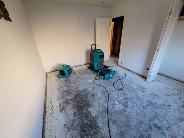 Best 24-hour water damage restoration  in Canyon Creek, WA