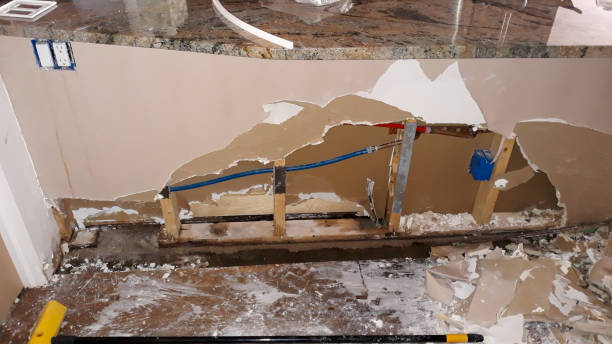 Best Local water damage restoration  in Canyon Creek, WA