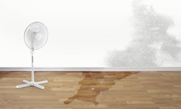 Best Residential water damage restoration  in Canyon Creek, WA