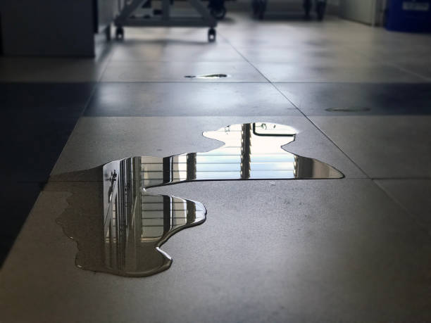 Best Carpet water damage restoration  in Canyon Creek, WA