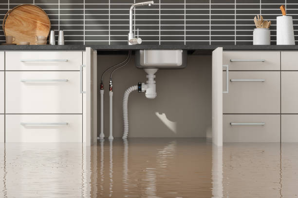 Best Sewage cleanup and water damage restoration  in Canyon Creek, WA