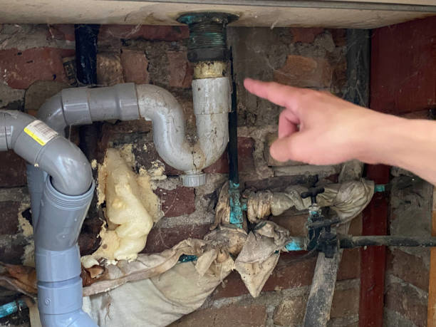 Best Water damage restoration process  in Canyon Creek, WA