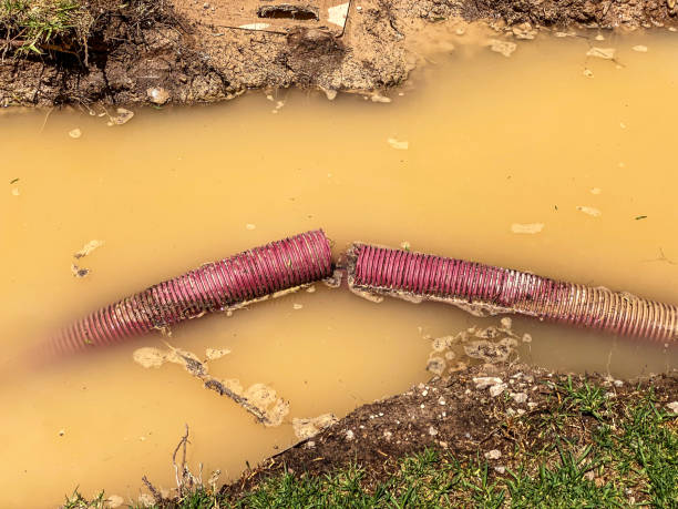  Canyon Creek, WA Water damage restoration Pros