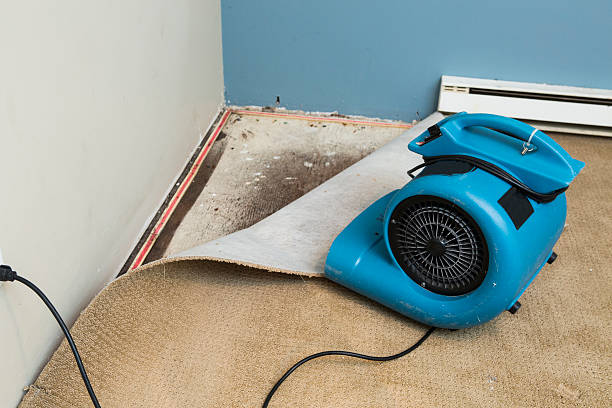 Reliable Canyon Creek, WA Water damage restoration Solutions
